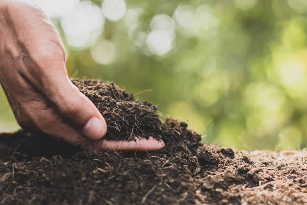 Здоровая плодородная почва – не рыхлая, плотная, но пористая (+Видео)