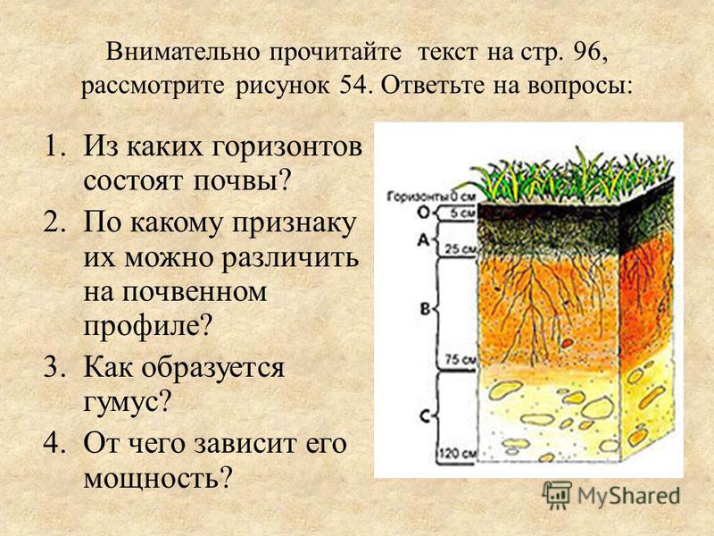 Толщина почвы. Гумус плодородный слой почвы. Из каких слоев состоит почва. Образование плодородного слоя почвы. Плодородный слой почвы толщина.