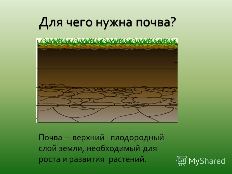 Верхний слой земли. Плодородный слой почвы. Верхний плодородный слой почвы. Почва плодородный слой земли. Почва это верхний плодородный слой земли.