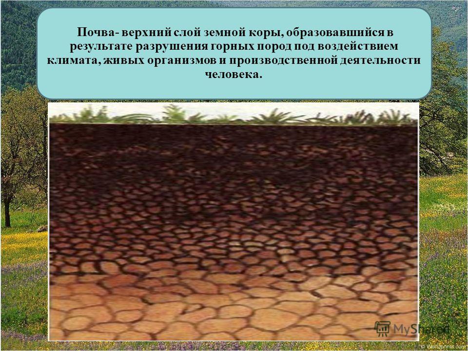 Какую деформацию испытывает почва под действием. Верхний слой почвы. Слои почвы. Почва верхний слой земли. Изменения почвенного слоя.