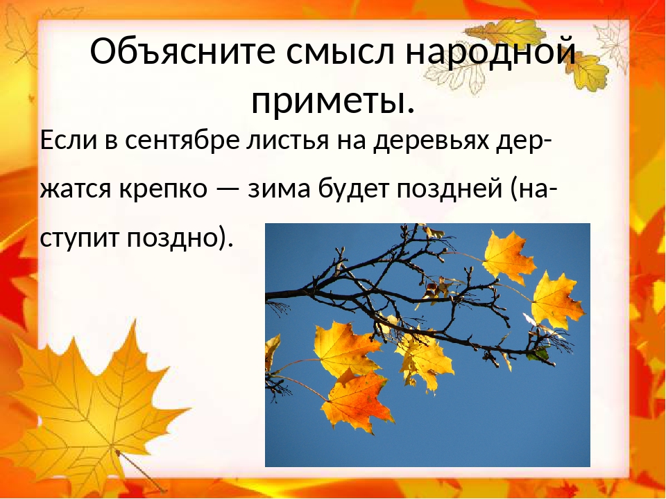 Если клевер сблизил листочки а соцветия. Народные приметы осени. Приметы на погоду осень. Название осенних месяцев. Народные приметы осени для дошкольников.