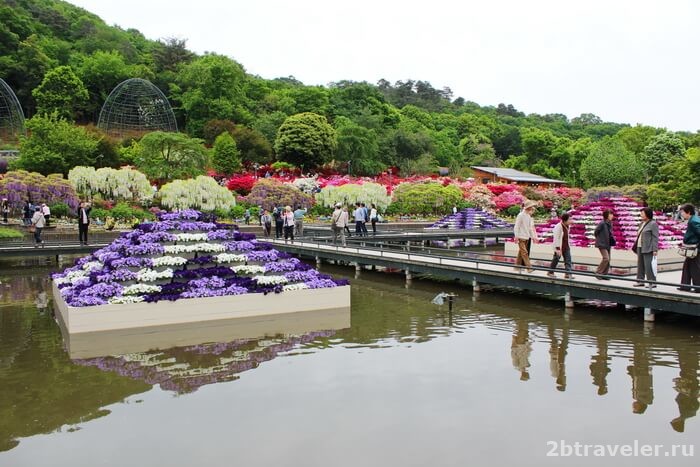 цветочный парк асикага
