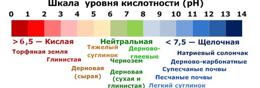 Шкала уровня кислотности