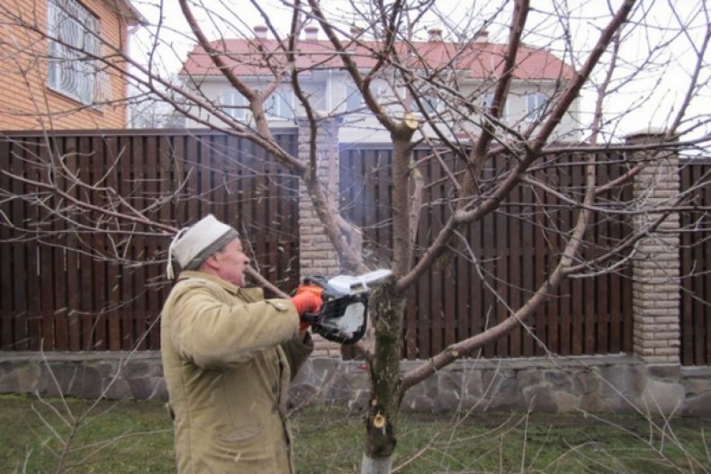 Профилактика