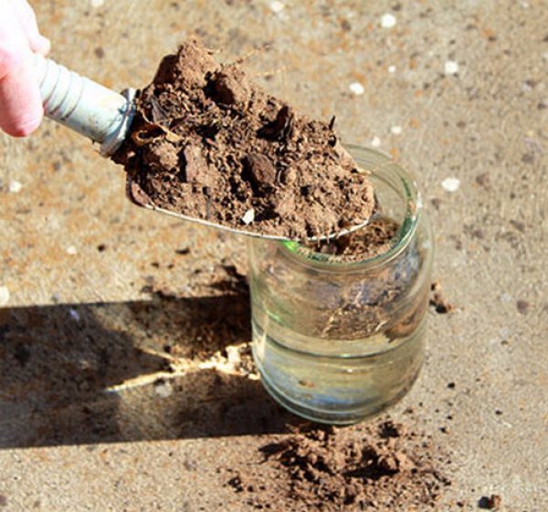 Как сделать почву в домашних условиях. Почвенный раствор. Подкисление грунта. Закисленность почвы. Почва закисла.