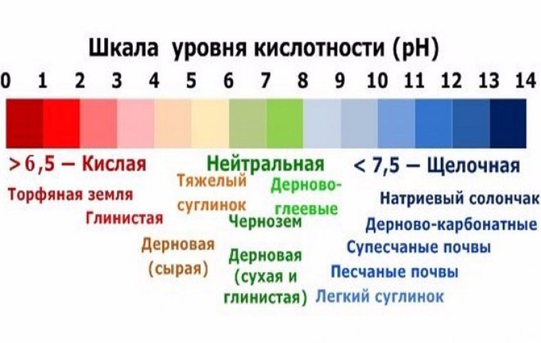 Шкала определения уровня кислотности