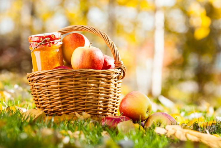 Autumn-in-the-vegetable-garden.jpg