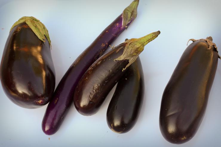 vegetables-black-egg-eggplant-70-days-1_1024x1024.jpeg