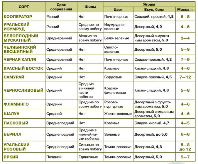 сорта крыжовника новосибирская область