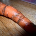 Морковная муха: фото и средства борьбы с вредителем на грядках