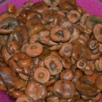 Способы заготовки грибов рыжиков