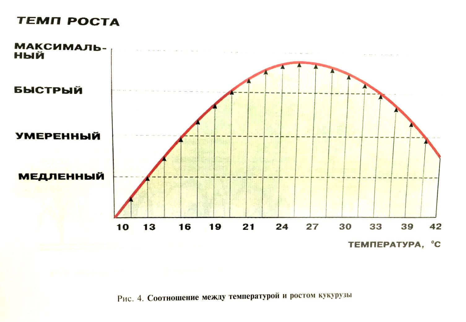 Технология возделывания кукурузы