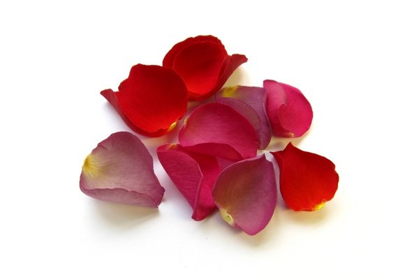Съедобные цветы: 5 самых вкусных цветов и советы по употреблению