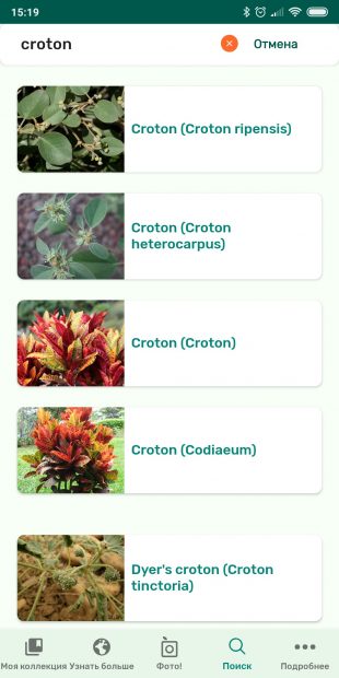 Определяйте виды комнатных растений с помощью PlantSnap