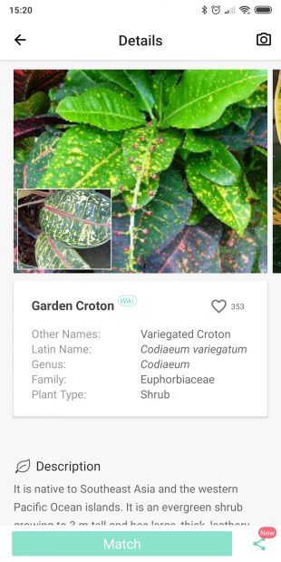 Определяйте виды комнатных растений с помощью PictureThis
