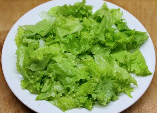 рецепты с латуком (салатом листовым)