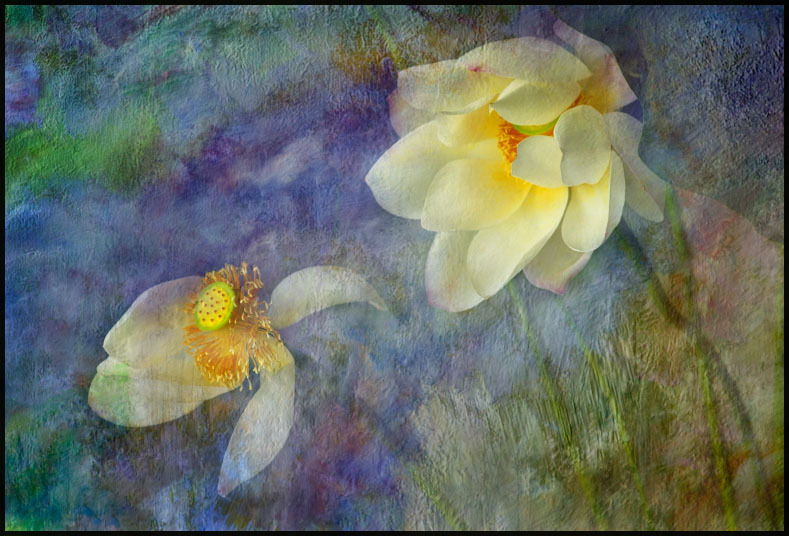 Лотос — божественный цветок Востока, или Символ чистоты и совершенства в творчестве, фото № 36
