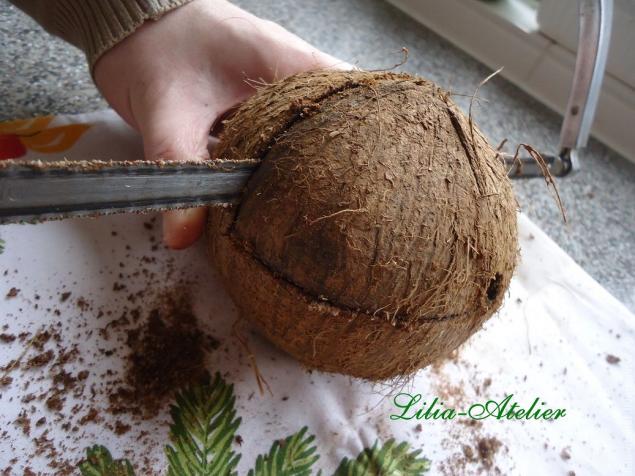 Кокосовые колыбельки: что может получиться из одного кокоса?, фото № 8