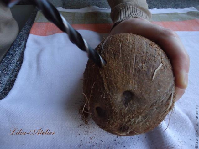 Кокосовые колыбельки: что может получиться из одного кокоса?, фото № 4