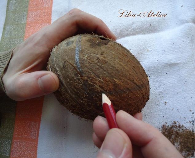 Кокосовые колыбельки: что может получиться из одного кокоса?, фото № 3