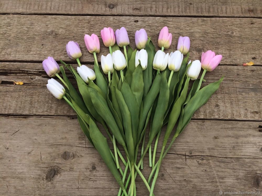 Такие разные тюльпаны. История весеннего цветка, фото № 31