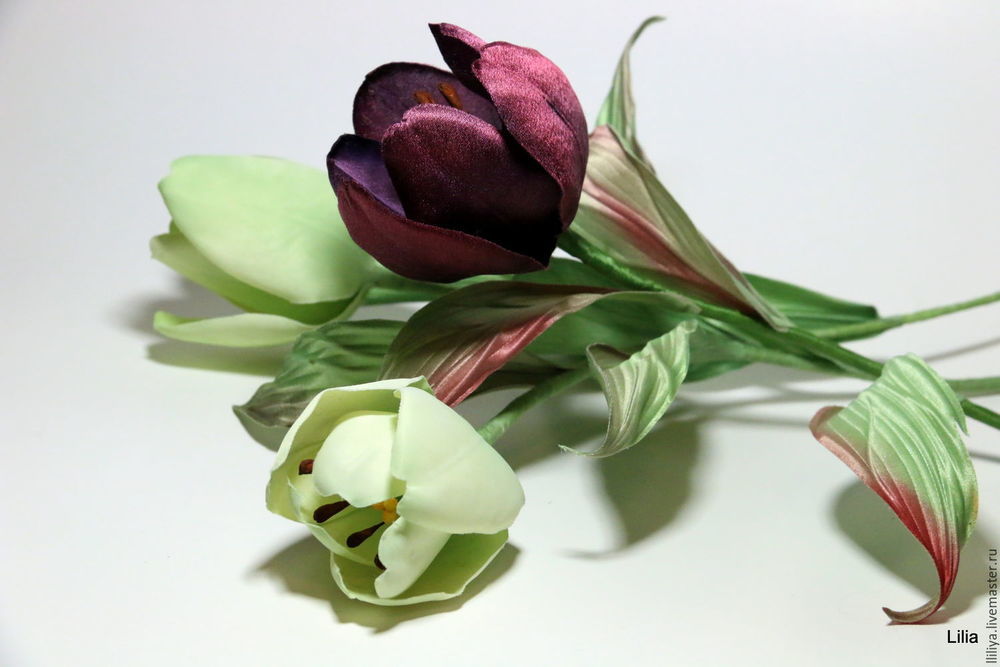 Такие разные тюльпаны. История весеннего цветка, фото № 21