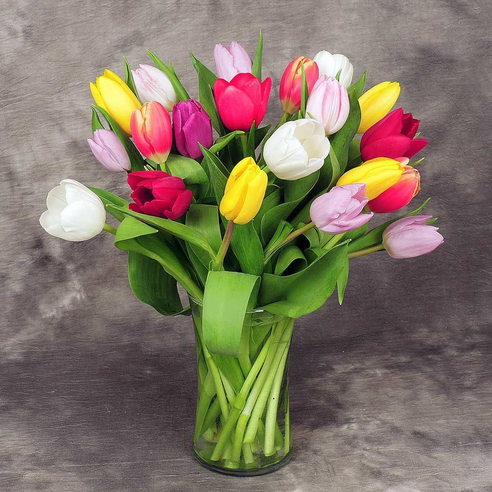 Такие разные тюльпаны. История весеннего цветка, фото № 54