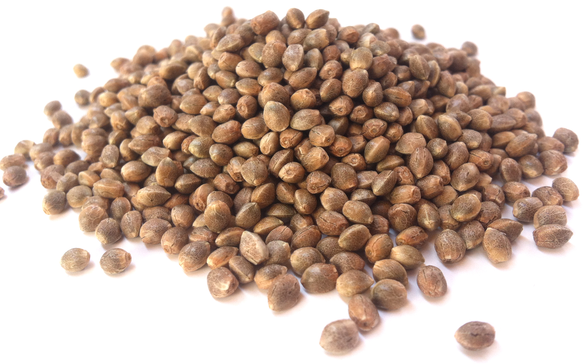 Семена конопляные купить в украине seeds семко самара официальный сайт каталог