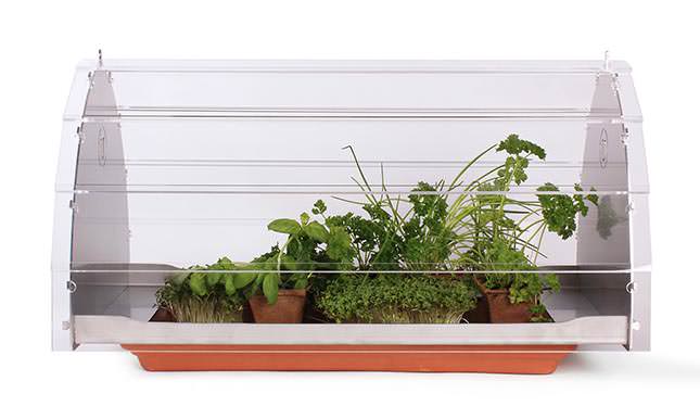 Посадка овощей и их выращивание будет осуществляться непосредственно в квартире благодаря мини-тепличке