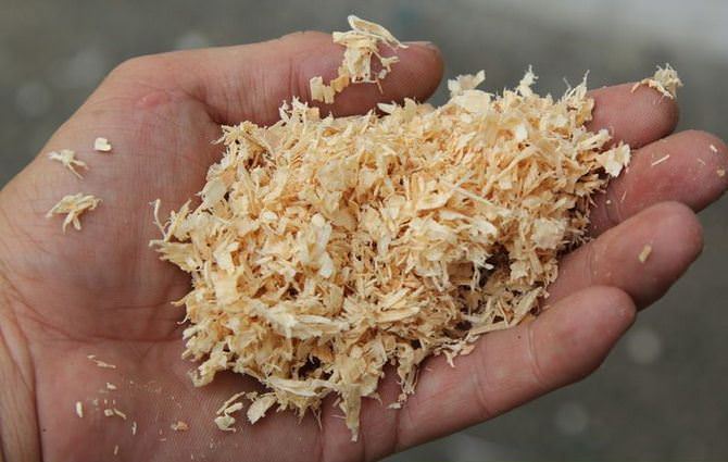 Для улучшения свойств грунта на участке достаточно часто вносится измельченная древесная кора и опилки