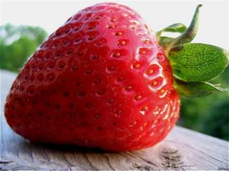 Наслаждаться ароматными зрелыми ягодами можно сейчас даже в регионах с довольно суровым климатом