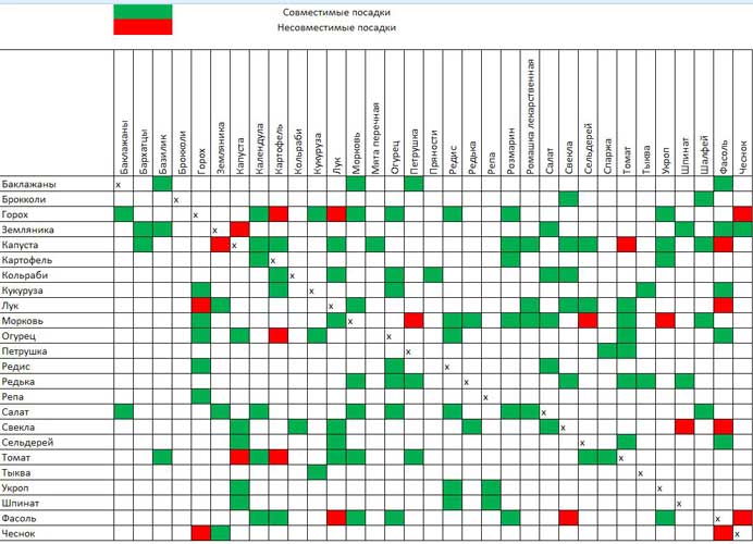 Таблица совместимости овощных культур