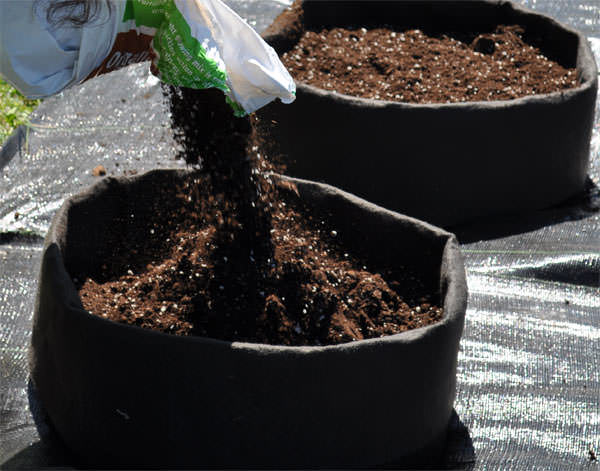 Идеальным составом для картошки в мешках будет перегнойная почва с добавлением форсфорных и калийных удобрений