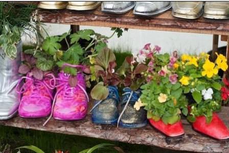 Продолжаем высаживать декоративные растения в старой обуви