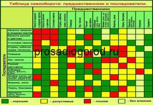 История появления агротехника