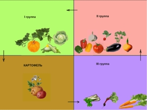 Истощение почвы овощными культурами