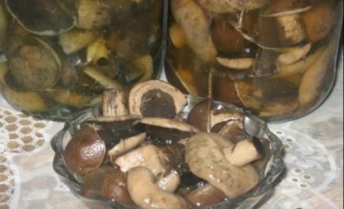 Маринад для грибов на зиму. Грибы маринованные на зиму — 7 лучших рецептов приготовления