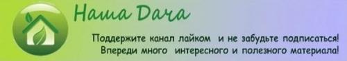 Дозревает ли сорванная тыква. Когда убирать тыкву? Верные признаки спелости тыквы