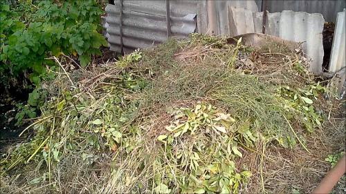 Собачий кал в компост. Компостная куча – аэробный или анаэробный способ приготовления удобрений