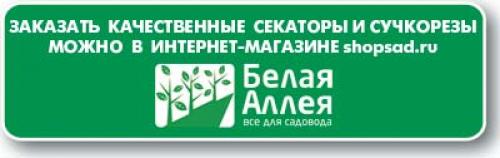 Как посадить ремонтантную малину осенью. Почему ремонтантная малина осенью не плодоносит/не вызревает? 01