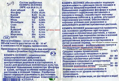 Как сохранить флоксы зимой. Как правильно подготовить флоксы к зиме: будут еще красивее