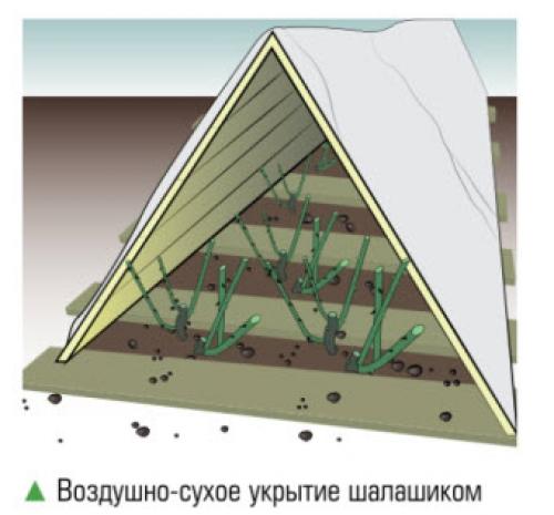 Из чего сделать дуги для укрытия роз. Воздушно-сухое укрытие