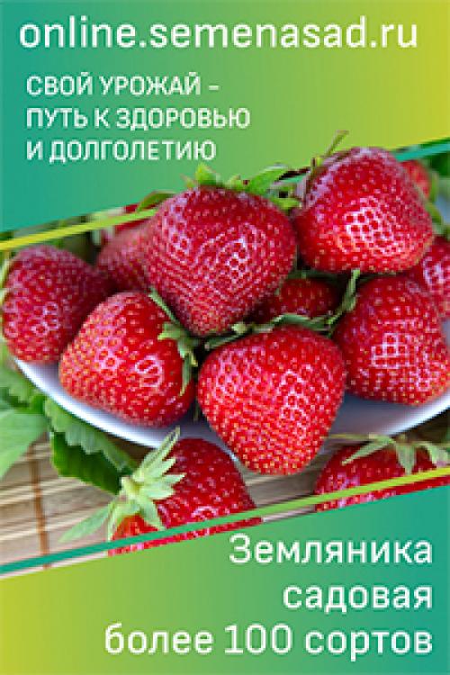 Чем обернуть деревья на зиму. Посоветуйте, как защитить молодые плодовые деревца зимой?