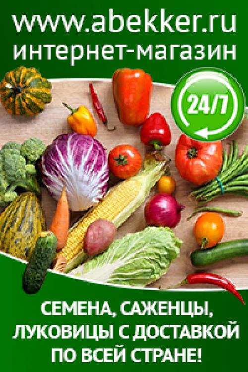 Чем укрыть фруктовые деревья на зиму. Посоветуйте, как защитить молодые плодовые деревца зимой?