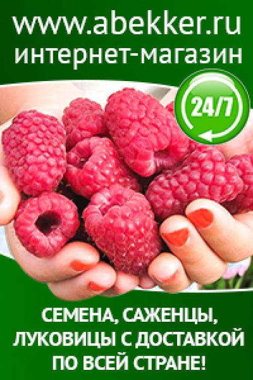 Как укрыть молодые деревья на зиму. Посоветуйте, как защитить молодые плодовые деревца зимой?