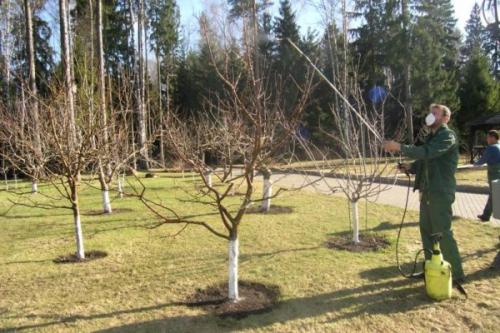 Что нужно делать осенью в огороде. Подкормка и полив