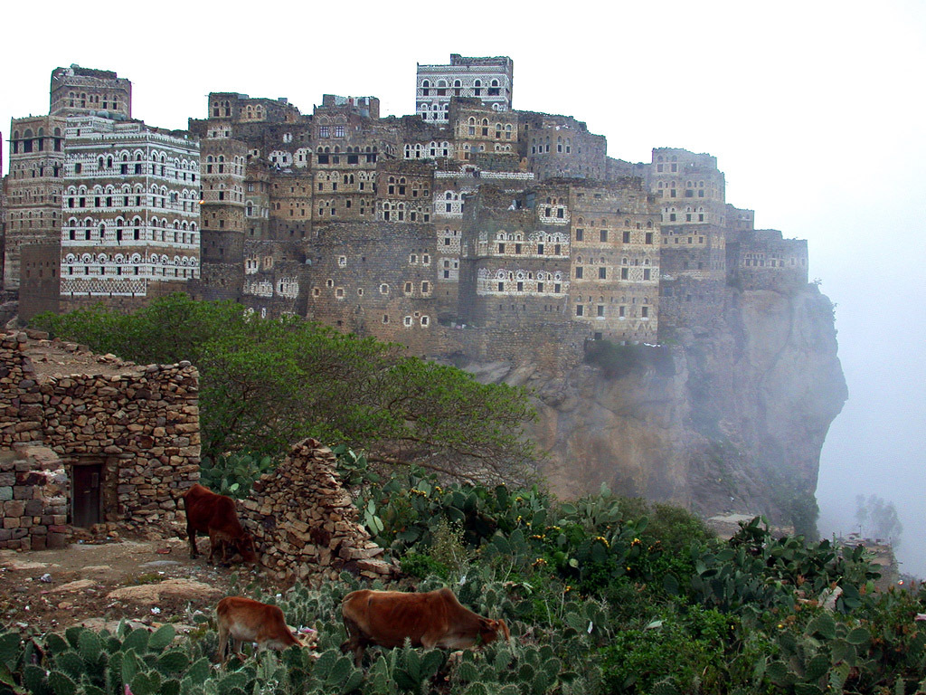 Необычный дом Socotra Island