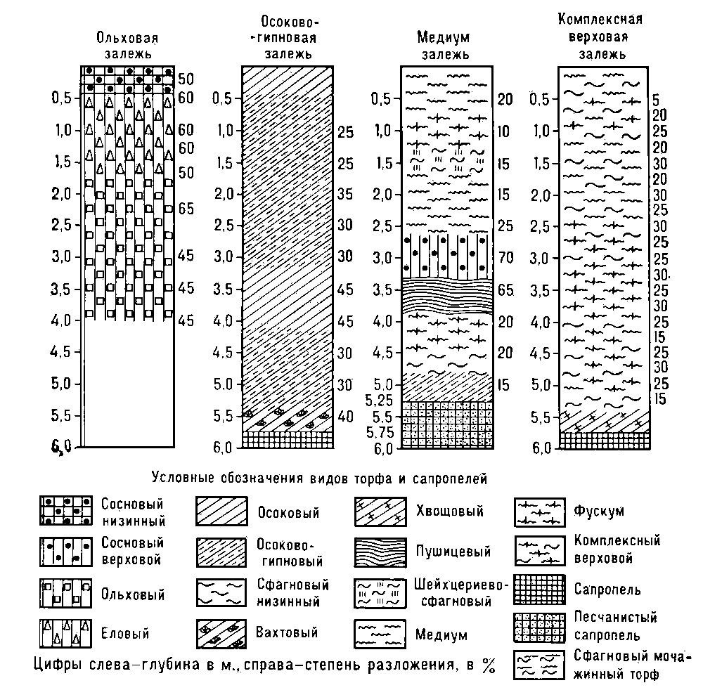 Рис. 2. Основные виды строения торфяной залежи.
