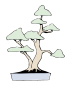 Bonsai Doppelstamm-Form.svg