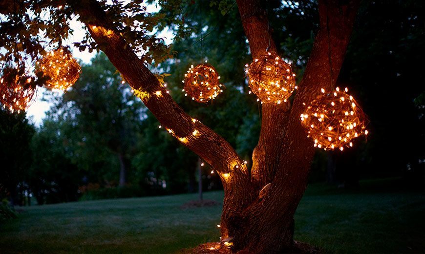 Ночное освещение деревьев